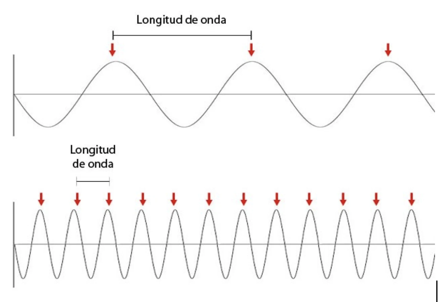 Comparación entre una onda de longitud grande (menor frecuencia) y una onda de longitud pequeña (mayor frecuencia) en el mismo período de tiempo