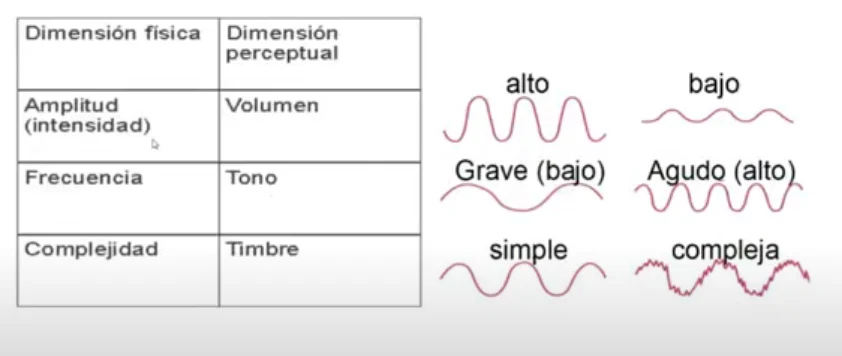 Tabla de dimensión física y perceptual del sonido (amplitud-volumen, frecuencia-tono, complejidad-timbre) junto a ejemplos de ondas altas, bajas, simples y complejas