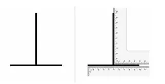 Ilusion vertical horizontal. procesos cognitivos. percepcion. que es. psicologia cognitiva