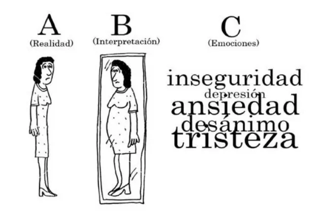 Capítulo 6. Modelo cognitivo de aprendizaje