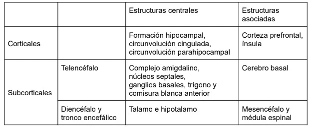 Tabla de estructuras corticales y subcorticales del sistema límbico: corticales (formación hipocampal, circunvolución cingulada, circunvolución parahipocampal, con estructuras asociadas corteza prefrontal e ínsula); subcorticales-telencéfalo (complejo amigdalino, núcleos septales, ganglios basales, trígono y comisura blanca anterior, asociada al cerebro basal); subcorticales-diencéfalo y tronco encefálico (tálamo e hipotálamo, asociados al mesencéfalo y la médula espinal)